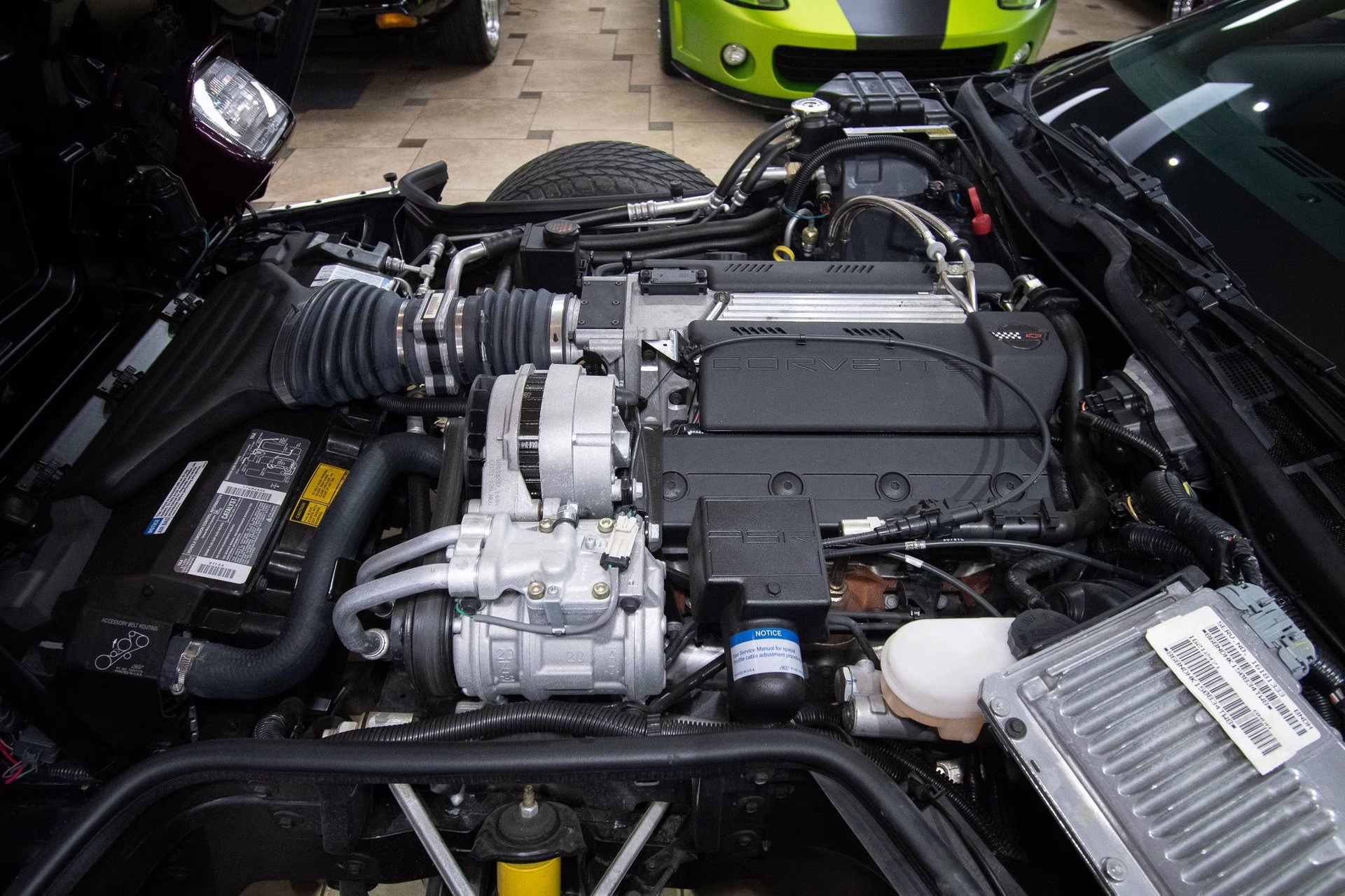 1995 Purple/White/Red Chevrolet Corvette