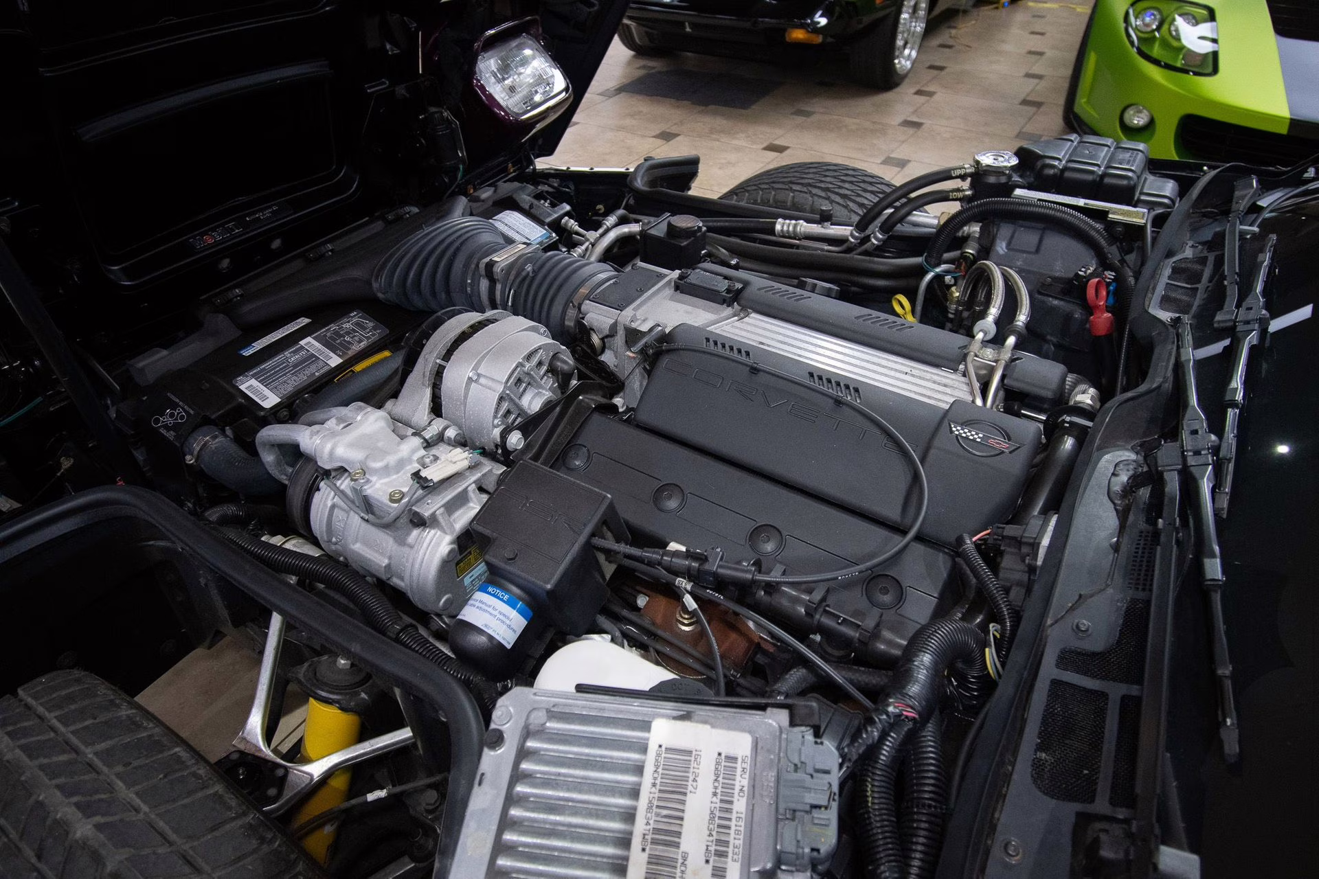1995 Purple/White/Red Chevrolet Corvette