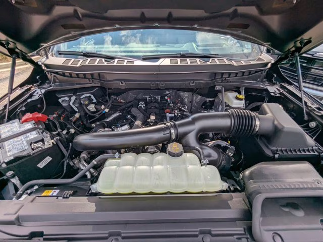 2025 Black Metallic Ford F-150 Tremor 4X4 Truck