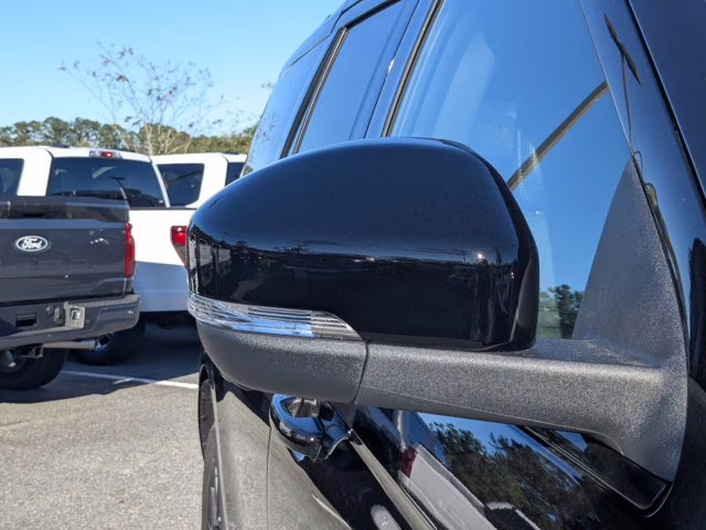 2025 Black Metallic Ford Expedition Platinum 4X4 SUV