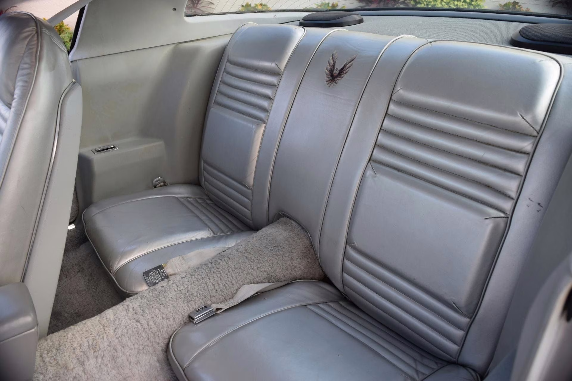 1979 Silver Pontiac Firebird