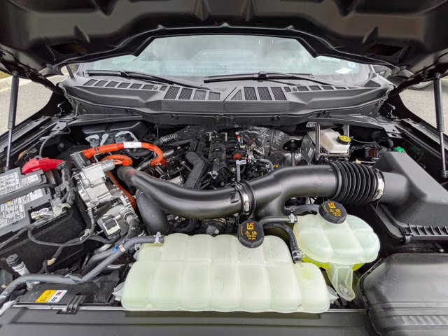 2025 Black Metallic Ford F-150 XLT 4X4 Truck