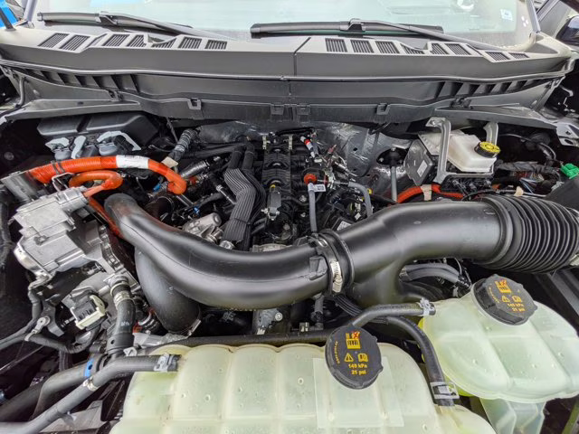 2025 Blue Metallic Ford F-150 King Ranch 4X4 Truck