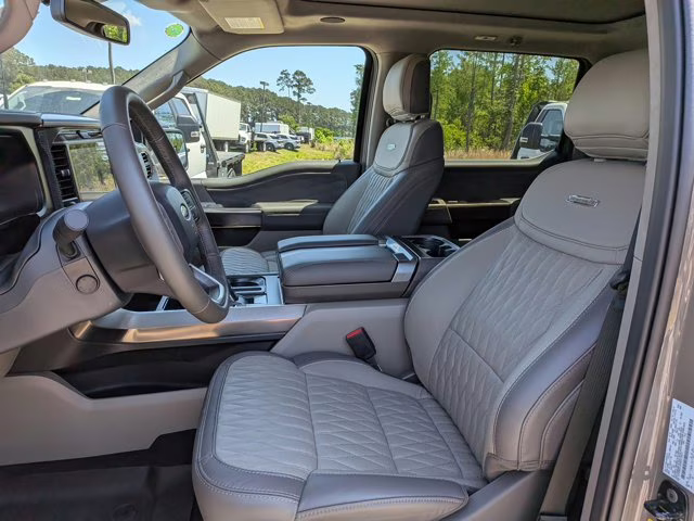 2025 Gray Ford F-150 Platinum 4X4 Truck
