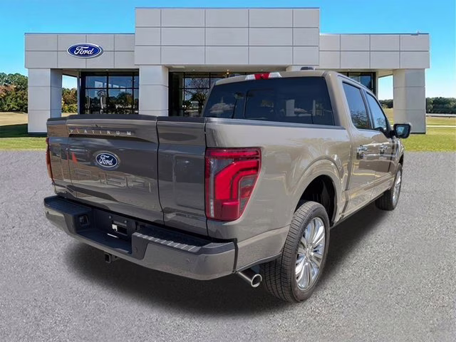 2025 Gray Ford F-150 Platinum 4X4 Truck