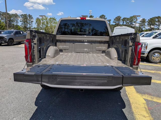 2025 Gray Ford F-150 Platinum 4X4 Truck