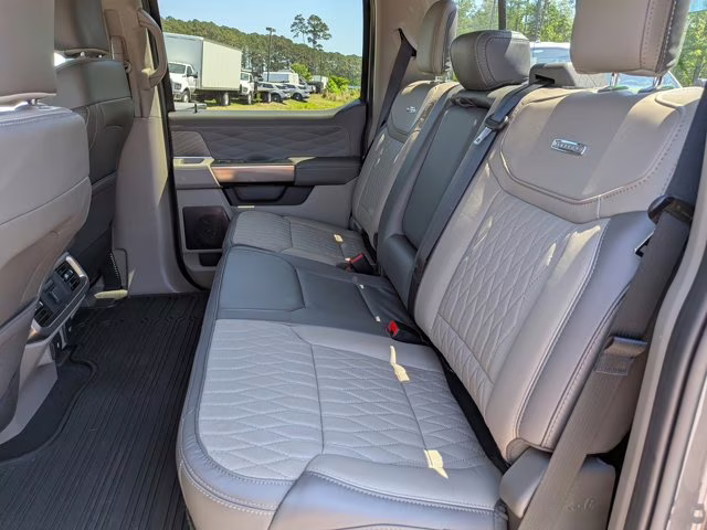 2025 Gray Ford F-150 Platinum 4X4 Truck