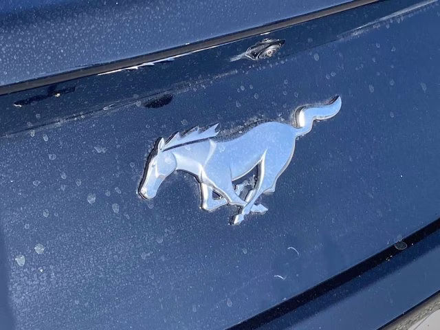 2026 Shadow Black Ford Mustang EcoBoost Premium RWD Coupe