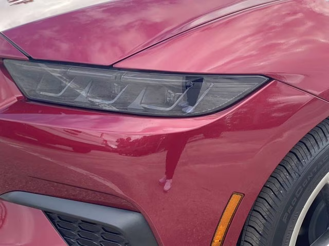 2026 Molten Magenta Metallic Tinted Clearcoat Ford Mustang EcoBoost Premium RWD Coupe