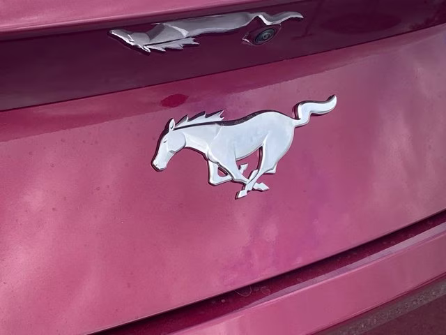 2026 Molten Magenta Metallic Tinted Clearcoat Ford Mustang EcoBoost Premium RWD Coupe