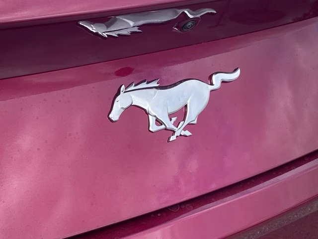 2026 Molten Magenta Metallic Tinted Clearcoat Ford Mustang EcoBoost Premium RWD Coupe