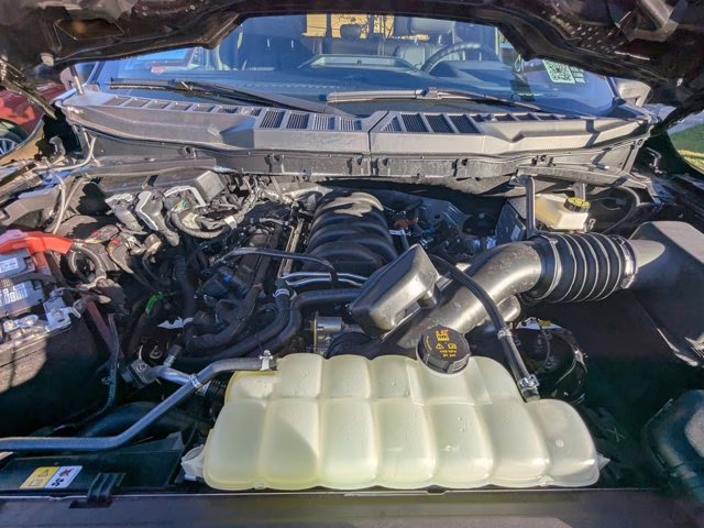 2025 Blue Metallic Ford F-150 XLT 4X4 Truck