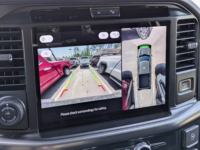 2025 Gray Metallic Ford F-150 Platinum 4X4 Truck