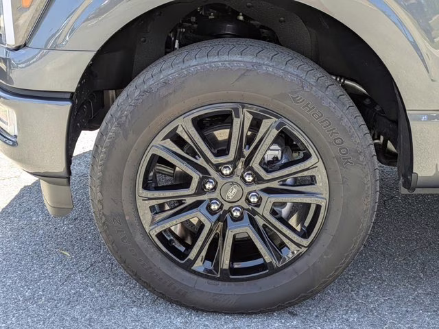 2025 Gray Metallic Ford F-150 Platinum 4X4 Truck