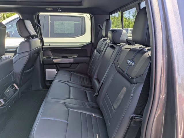 2025 Gray Metallic Ford F-150 Platinum 4X4 Truck