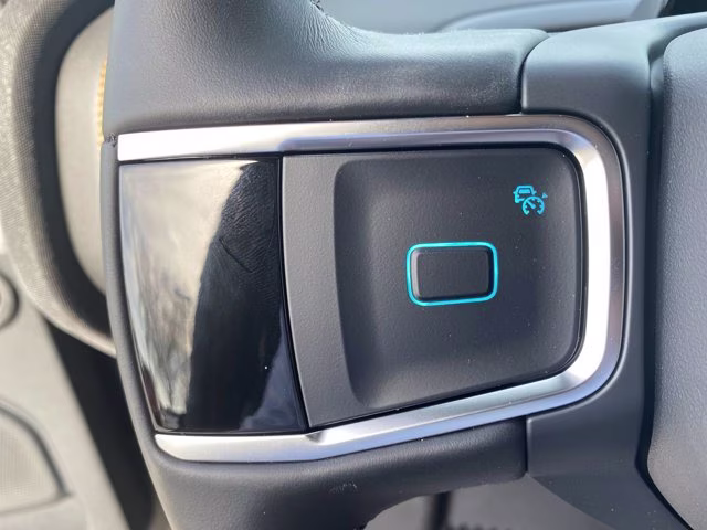 2026 Agate Black Metallic Ford Expedition Tremor 4X4 SUV