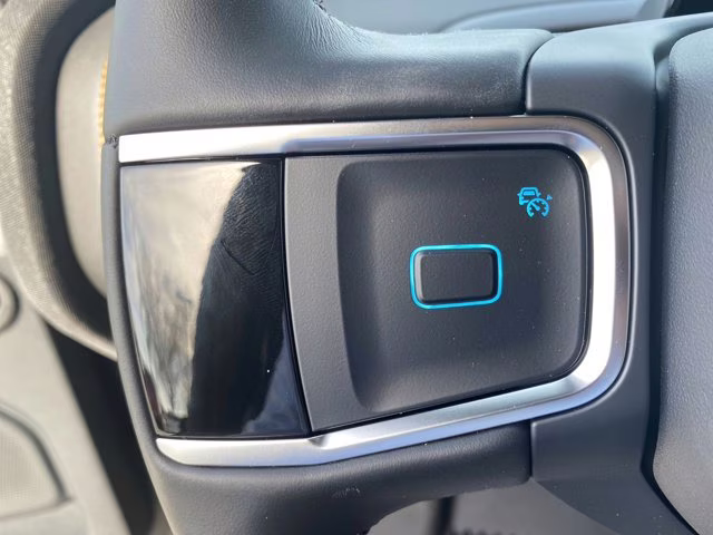 2026 Agate Black Metallic Ford Expedition Tremor 4X4 SUV