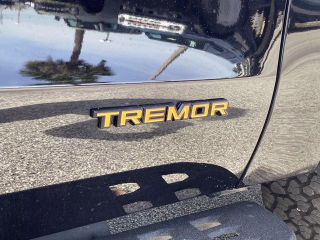 2026 Agate Black Metallic Ford Expedition Tremor 4X4 SUV