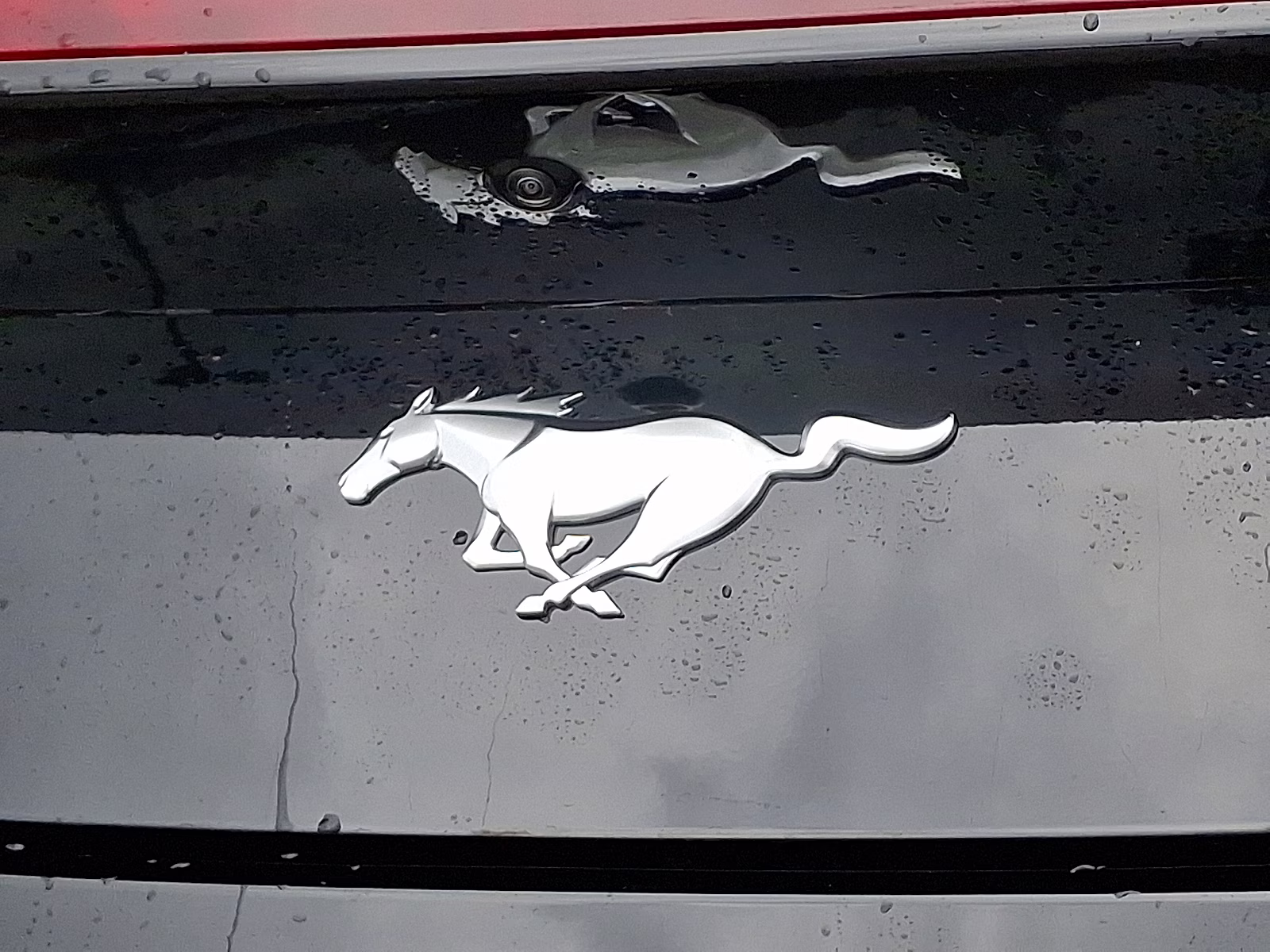 2025 Shadow Black - G1 Ford Mustang EcoBoost Convertible RWD