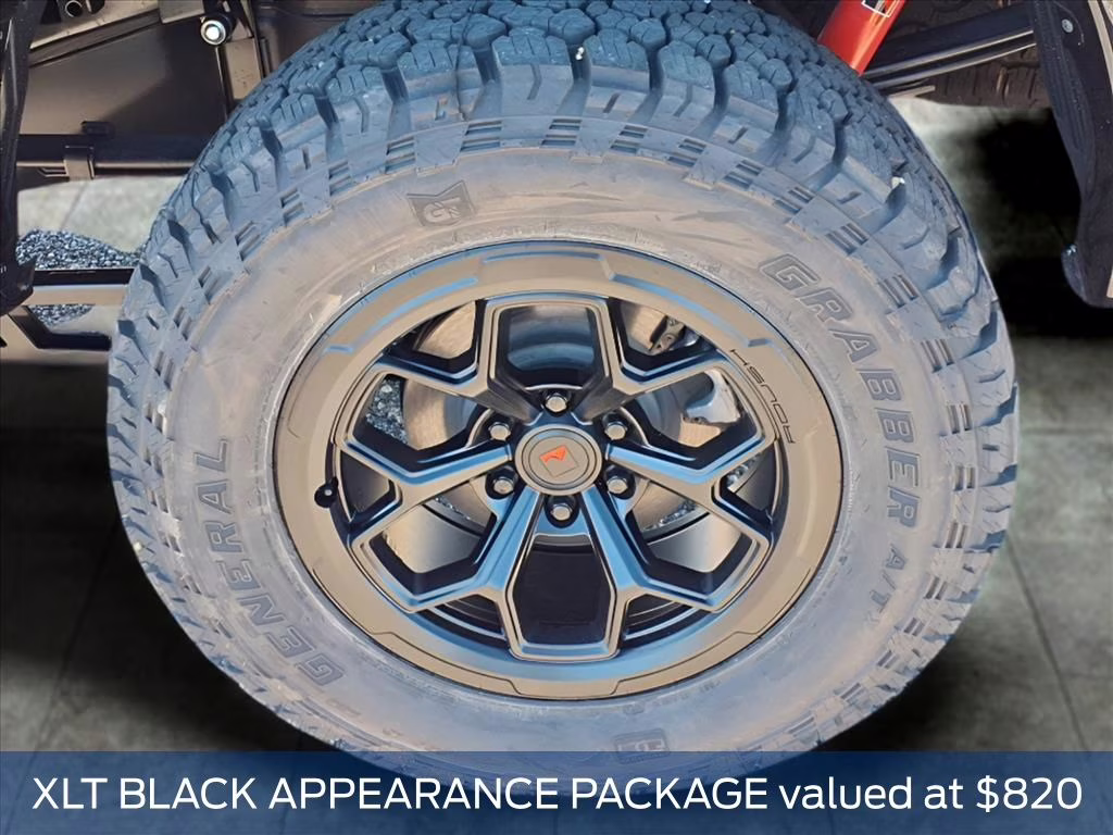 2025 Black Metallic Ford F-150 Roush RT6 F-150 4X4 Truck