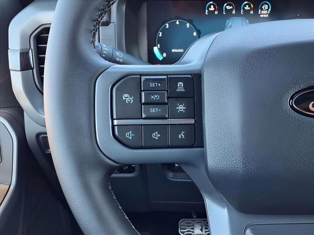 2025 Black Metallic Ford F-150 Roush RT6 F-150 4X4 Truck