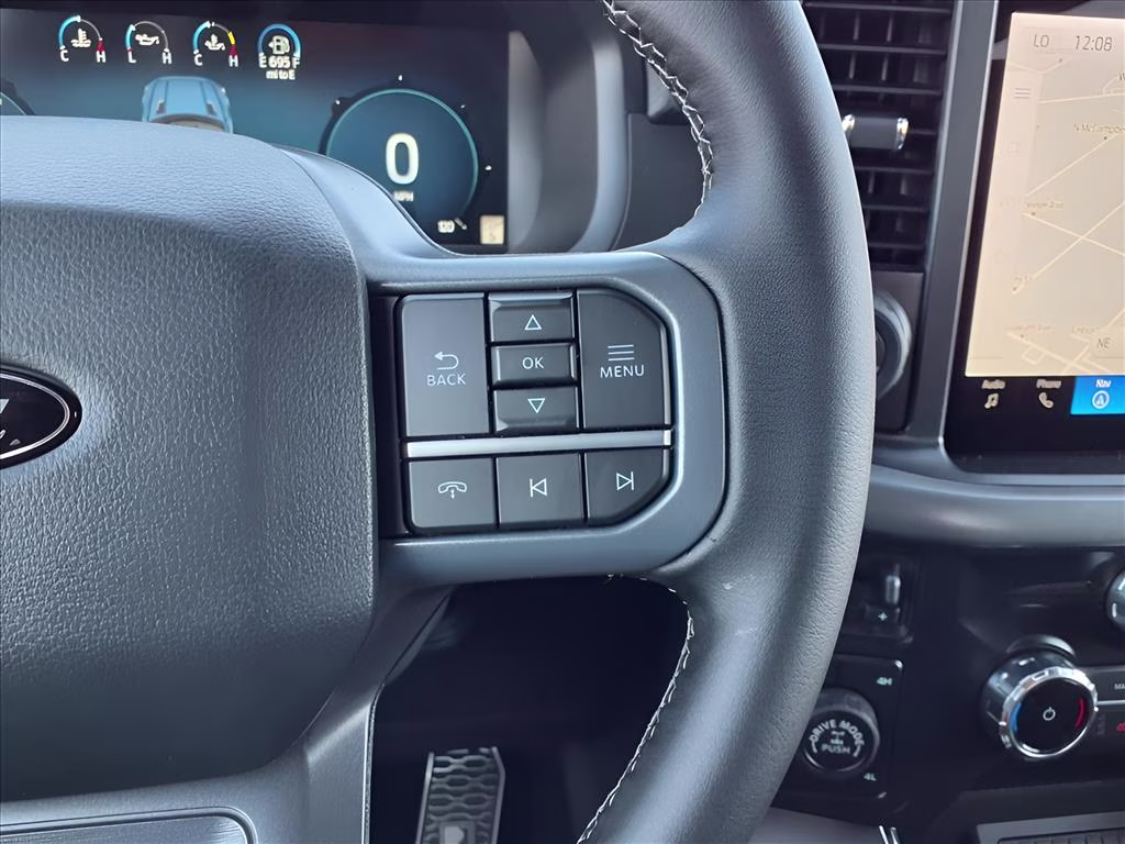 2025 Agate Black Metallic Ford F-150 XLT 4X4 Truck