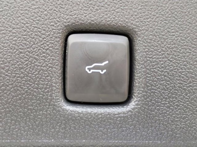 2025 Black Metallic Ford Escape Platinum AWD SUV