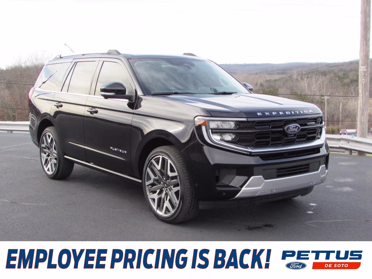 2025 Agate Black Metallic Ford Expedition Platinum 4X4 SUV