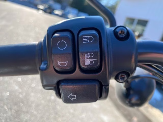 2020 Black Harley-Davidson Sportster XL1200 Motorcycle