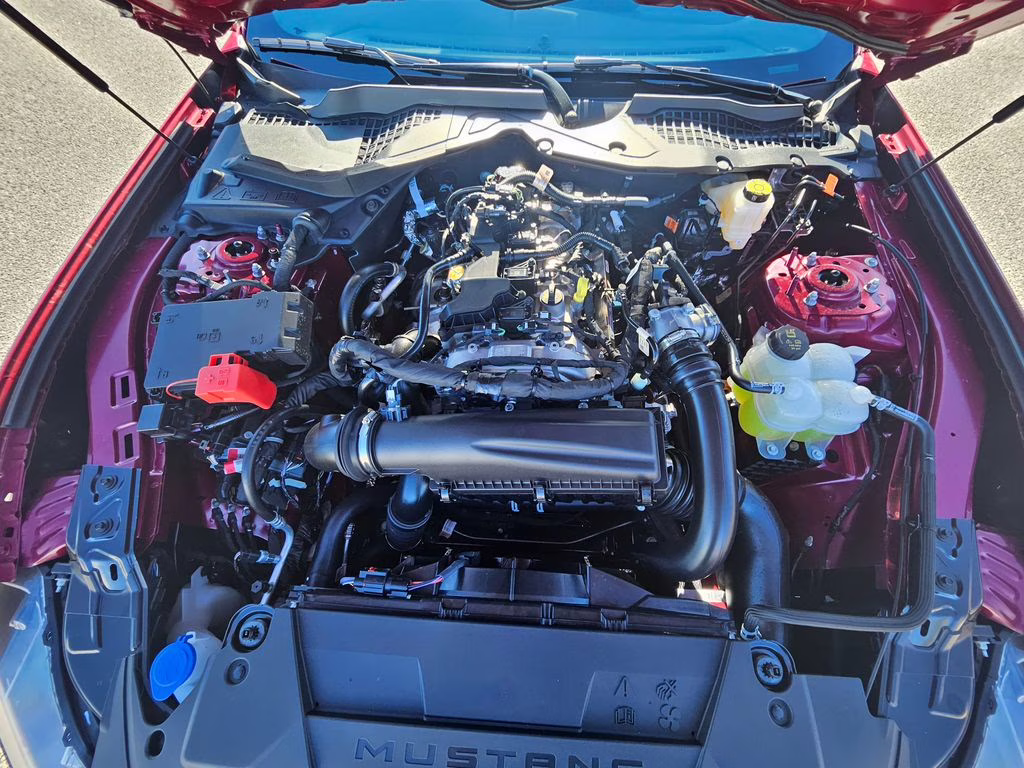 2026 Molten Magenta Metallic Tinted Clearcoat Ford Mustang EcoBoost Premium RWD Coupe