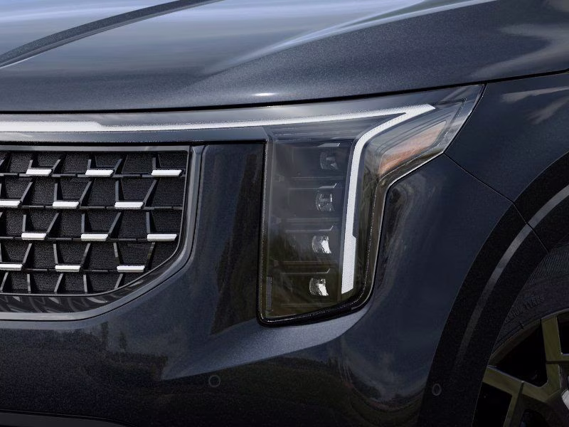 2026 Panthera Metal Kia Carnival Hybrid SX Prestige FWD Van