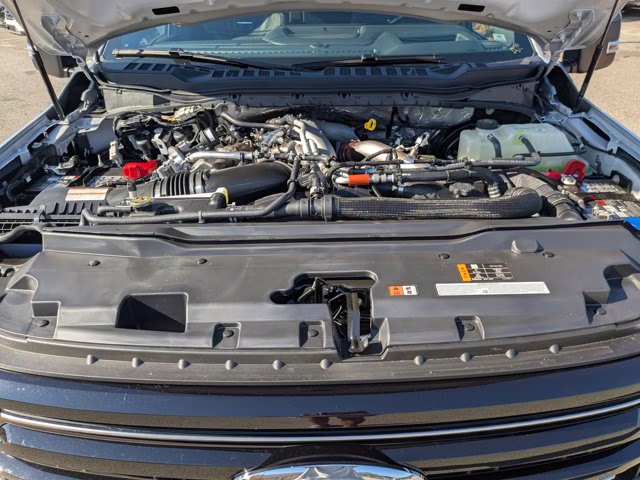 2026 Gray Metallic Ford Super Duty F-350 SRW Platinum 4X4 Truck