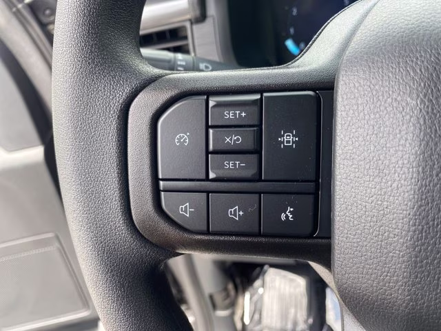 2026 Carbonized Gray Metallic Ford F-150 STX RWD Truck