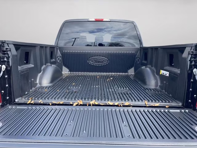 2026 Agate Black Metallic Ford F-150 STX 4X4 Truck