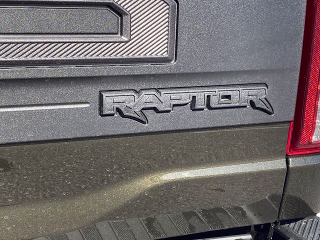 2026 Shelter Green Ford F-150 Raptor 4X4 Truck