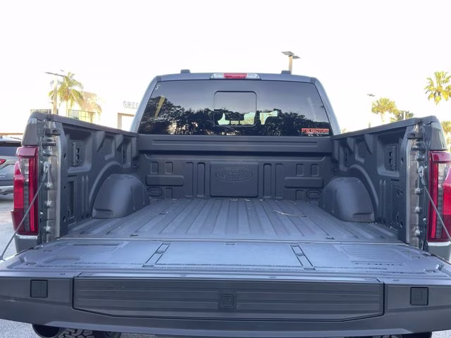 2025 Carbonized Gray Metallic Ford F-150 XLT 4X4 Truck