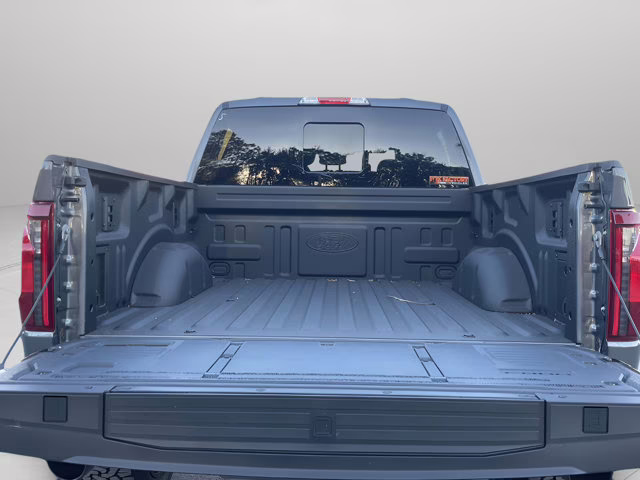 2025 Carbonized Gray Metallic Ford F-150 XLT 4X4 Truck