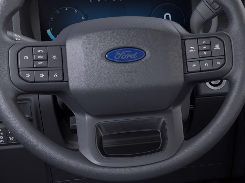 2025 Carbonized Gray Metallic Ford F-150 XL 4X4 Truck