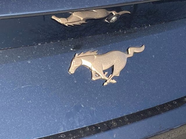 2026 Shadow Black Ford Mustang EcoBoost Premium RWD Coupe