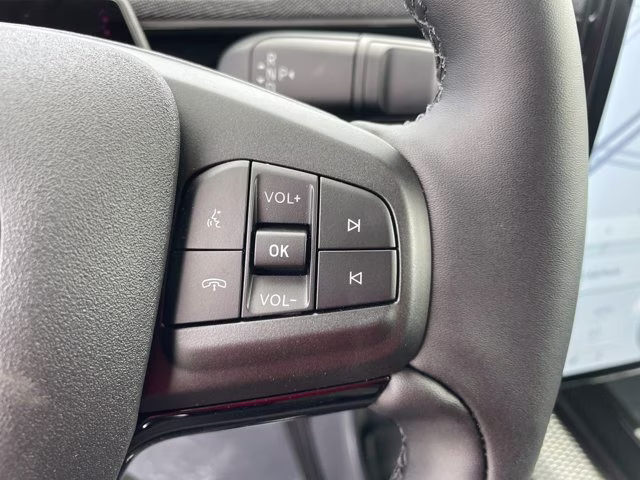2026 Shadow Black Ford Mustang Mach-E Premium AWD SUV