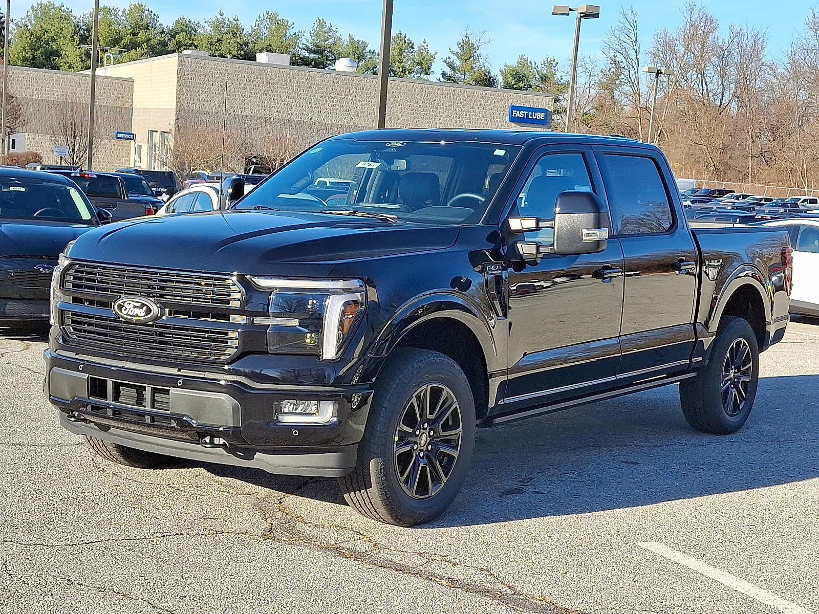 2025 Agate Black Metallic - UM Ford F-150 Platinum 4X4