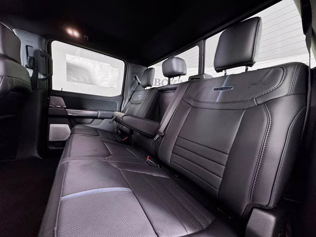 2026 Agate Black Metallic Ford Super Duty F-250 SRW Platinum 4X4 Truck