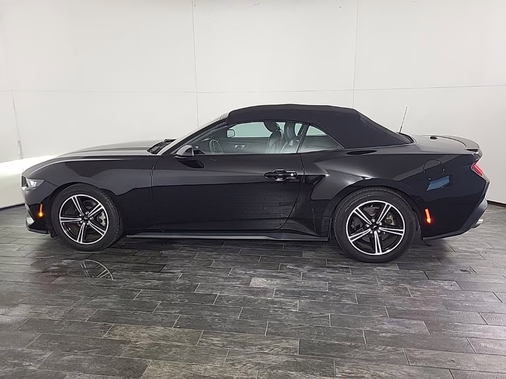 2024 Shadow Black Ford Mustang EcoBoost RWD Convertible