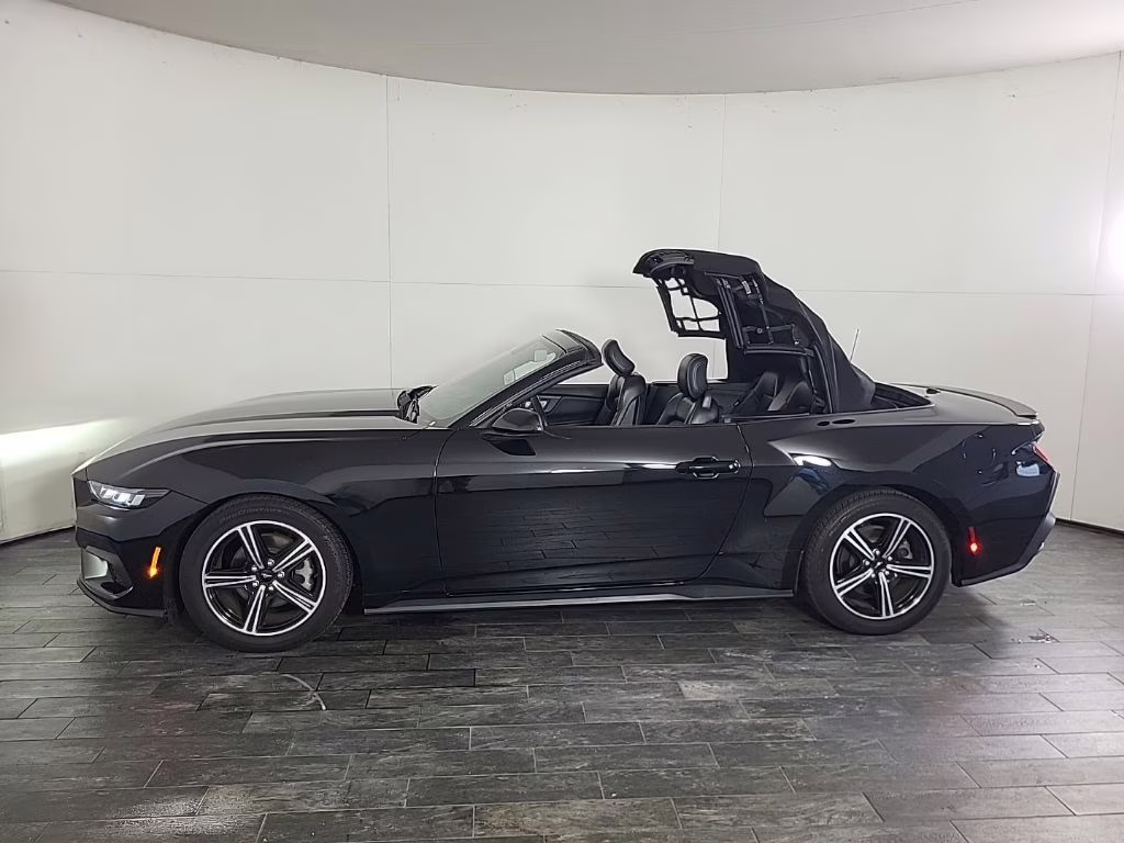 2024 Shadow Black Ford Mustang EcoBoost RWD Convertible