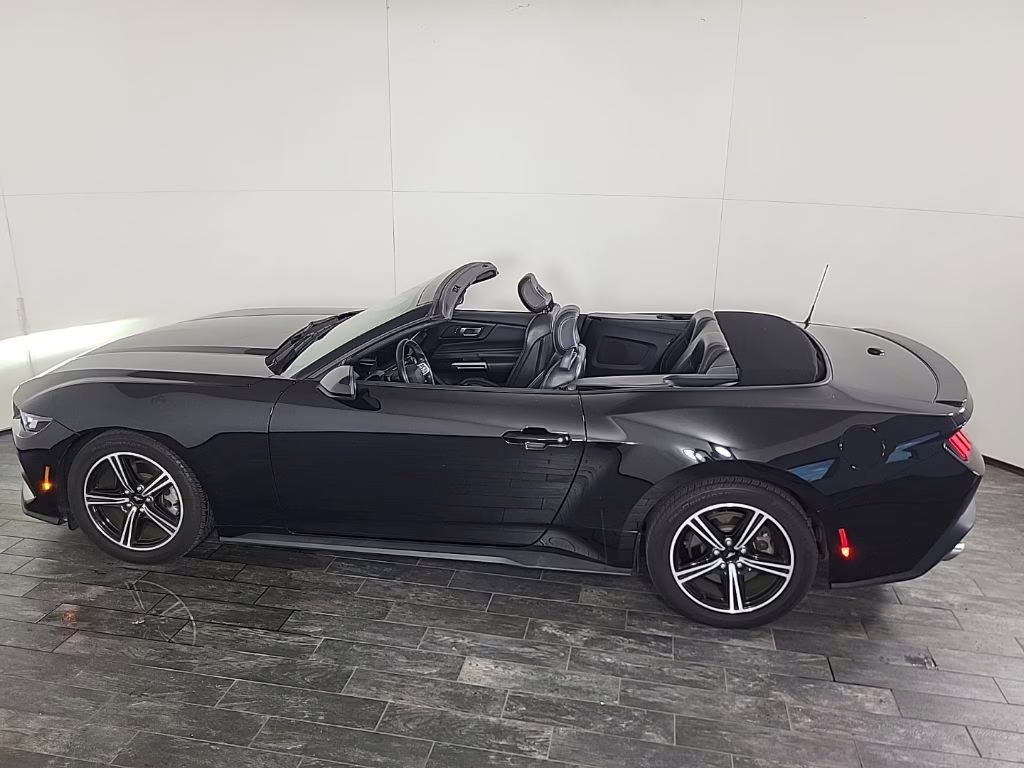 2024 Shadow Black Ford Mustang EcoBoost RWD Convertible