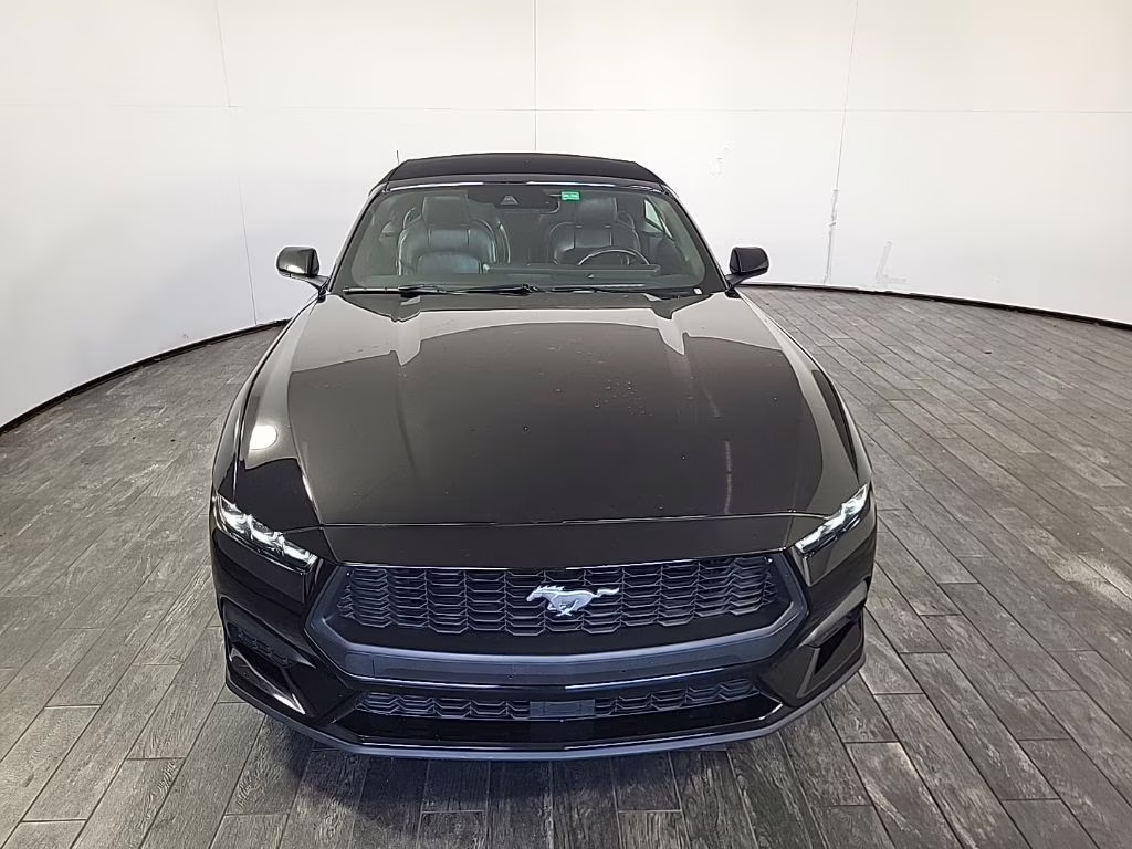 2024 Shadow Black Ford Mustang EcoBoost RWD Convertible
