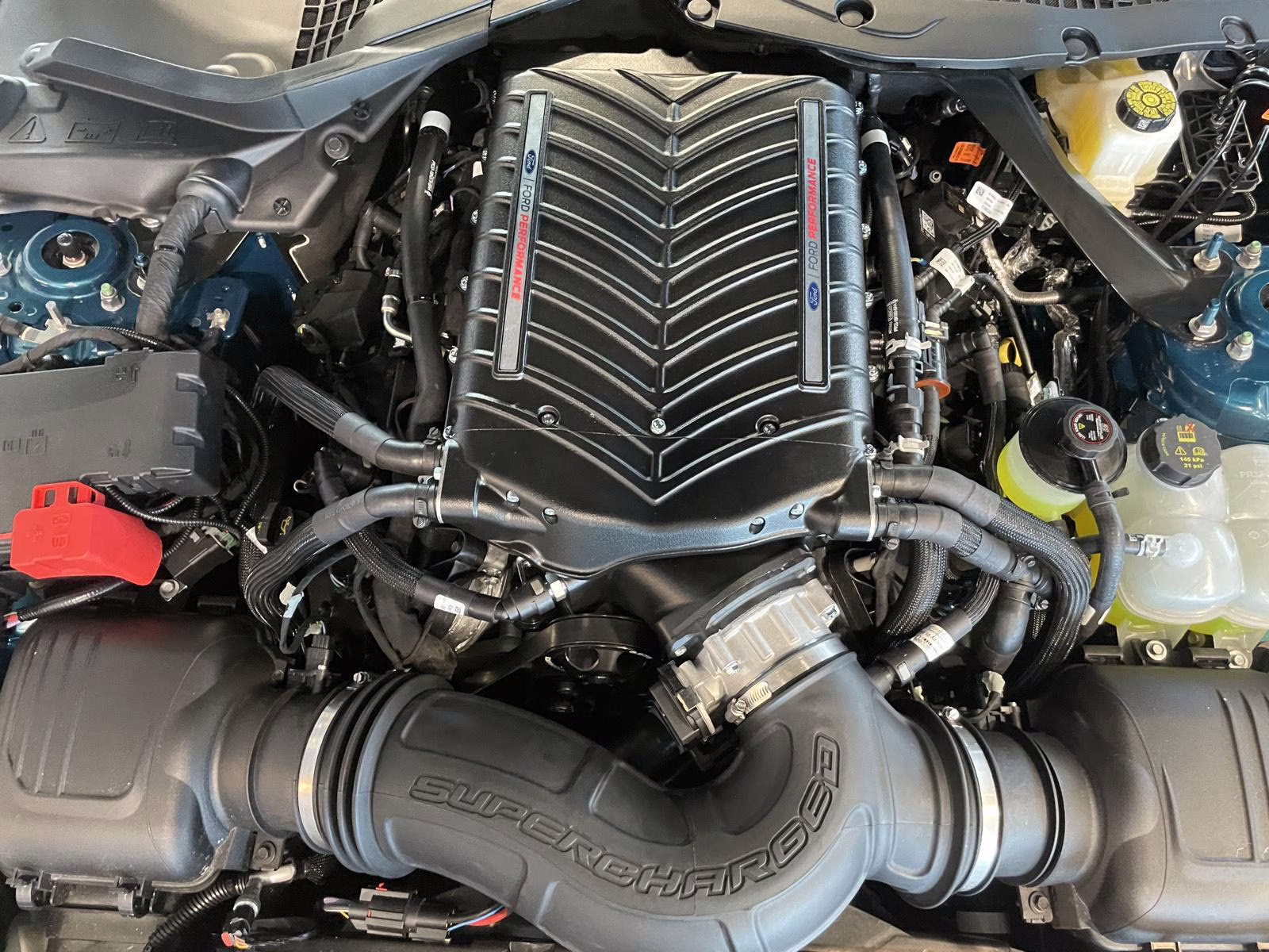 2026 Adriatic Blue Ford Mustang GT Premium RWD Fastback