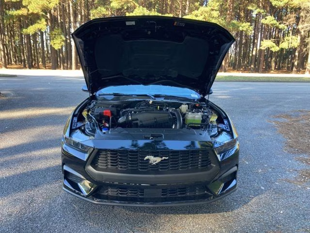 2026 Shadow Black Ford Mustang EcoBoost RWD Coupe