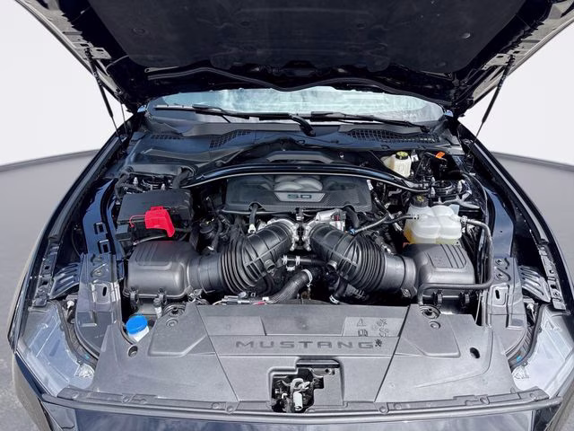 2025 Shadow Black Ford Mustang GT Premium RWD Convertible