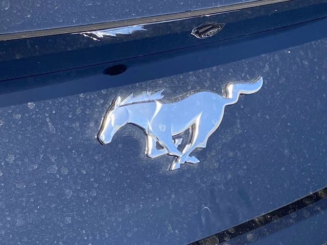 2026 Shadow Black Ford Mustang EcoBoost Premium RWD Coupe